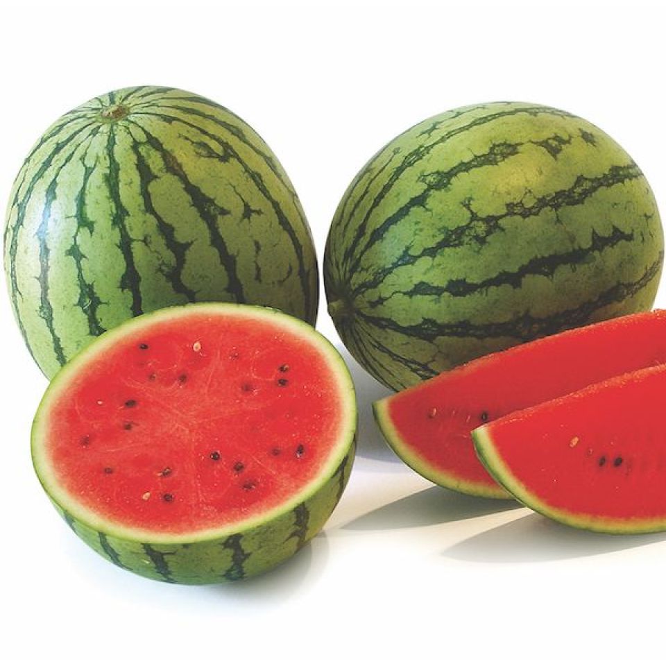 vattenmelon